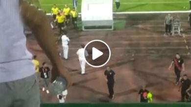 مشجع من مدرجات