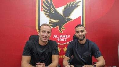 عمرو السولية