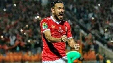 علي معلول