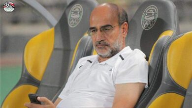 عامر حسين