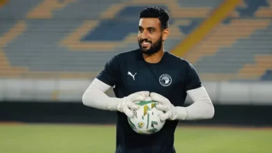 أحمد الشناوي