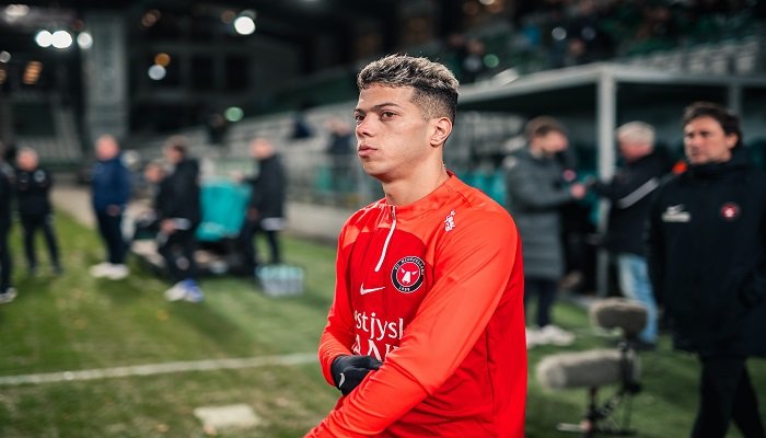 امام عاشور ميتلاند الدنماركي