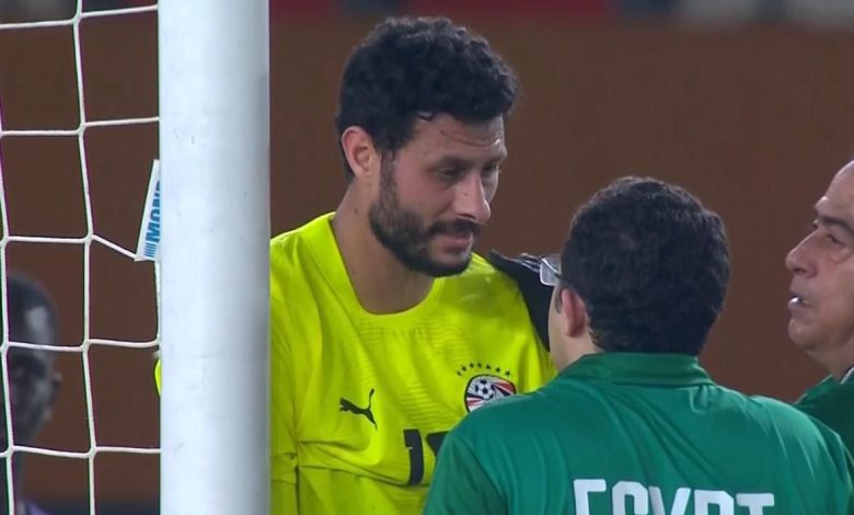 محمد الشناوي