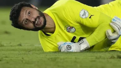 الشناوي