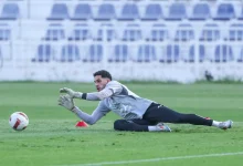 مصطفى شوبير