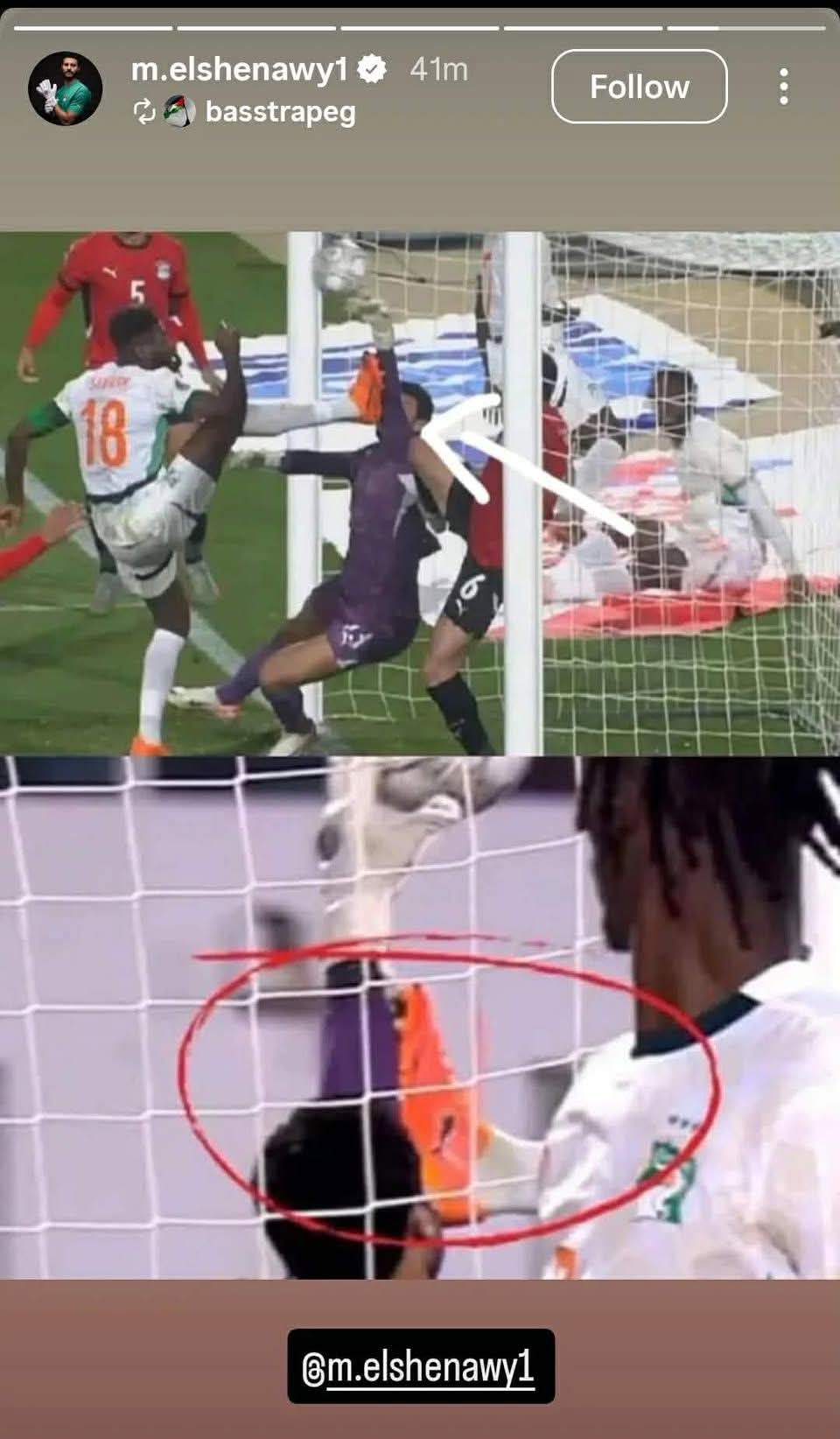 محمد الشناوي