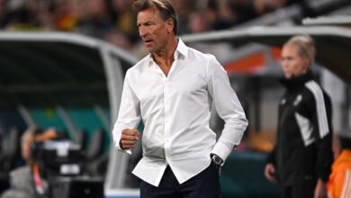 هيرفي رينارد