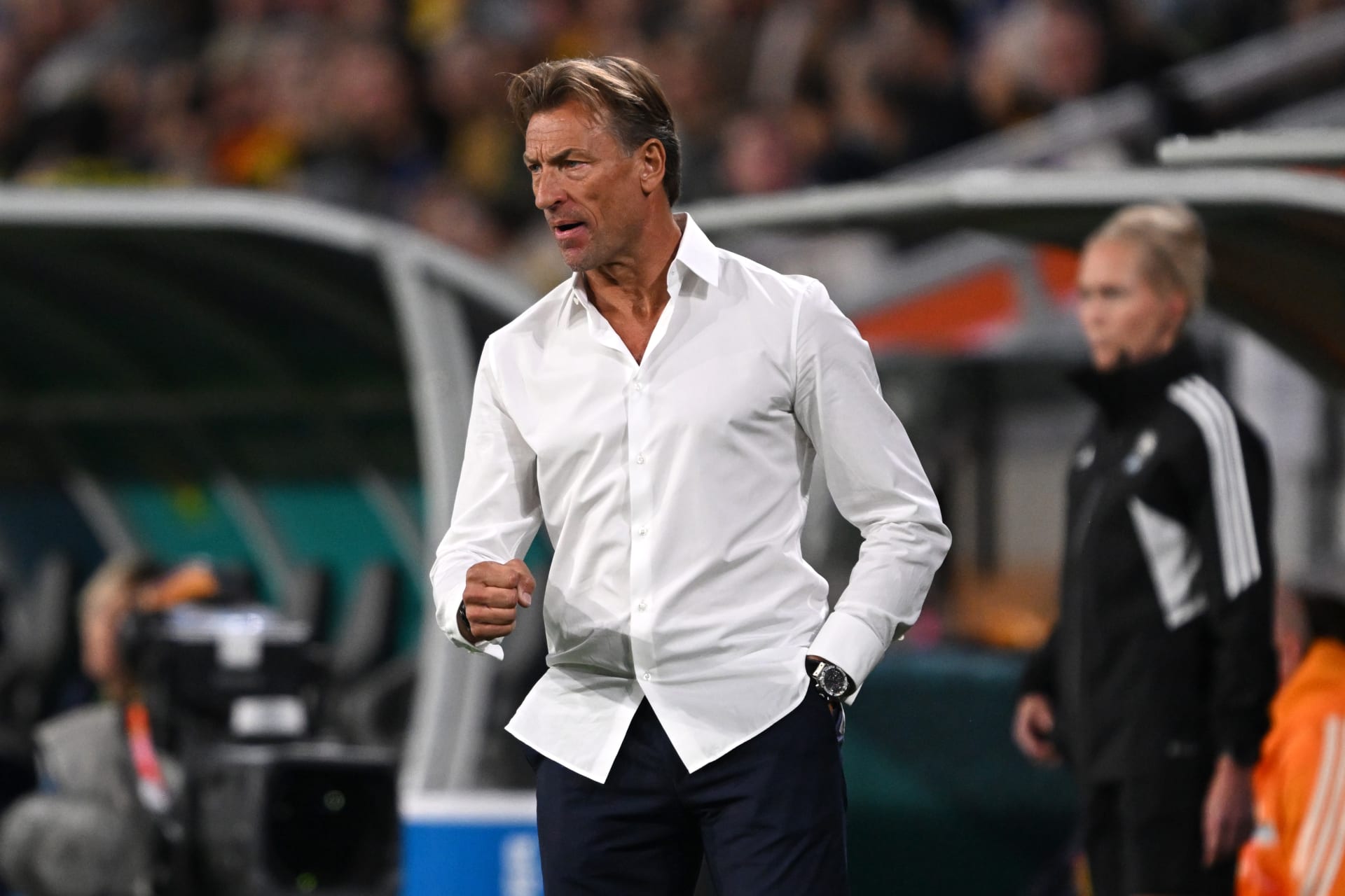 هيرفي رينارد 