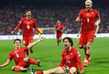 منتخب تركيا