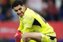 مصطفى شوبير