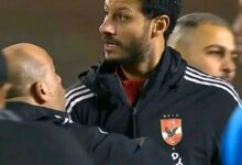 محمد الشناوي