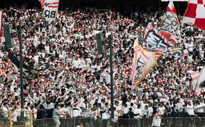 جماهير الزمالك