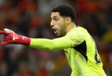 مصطفى شوبير