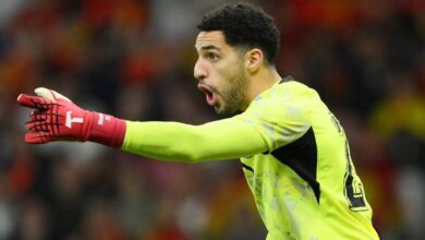 مصطفى شوبير