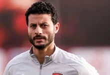 محمد الشناوي