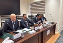 هاني أبو ريدة