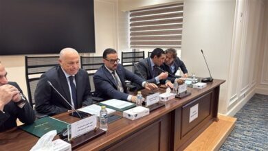 هاني أبو ريدة