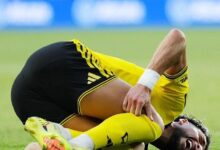 وسام أبو علي