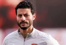 محمد الشناوي