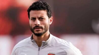 محمد الشناوي