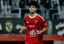 إبراهيم الأسيوطي