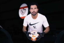 مهدي سليمان