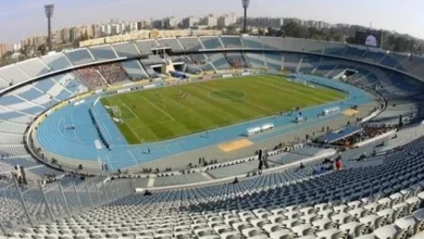 ملاعب مصرية