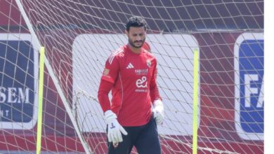 محمد الشناوي