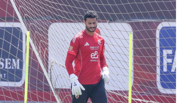 محمد الشناوي