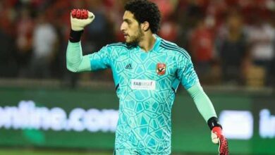 مصطفى شوبير