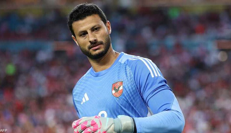 محمد الشناوي