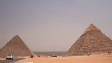 فيديو اتحاد العاصمة