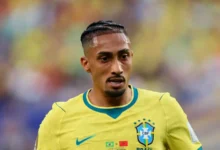 رافينها
