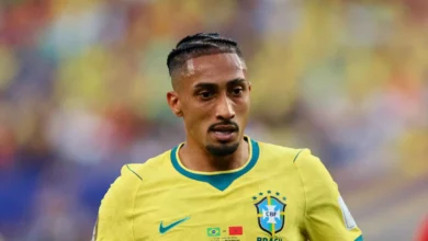 رافينها
