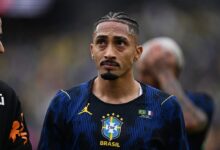 رافينها