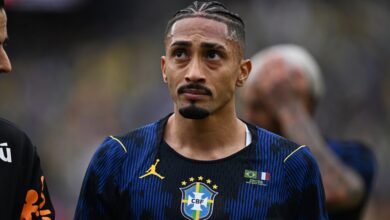 رافينها