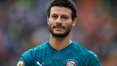 محمد الشناوي