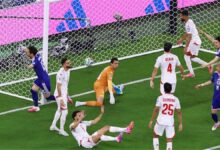 تونس وهولندا