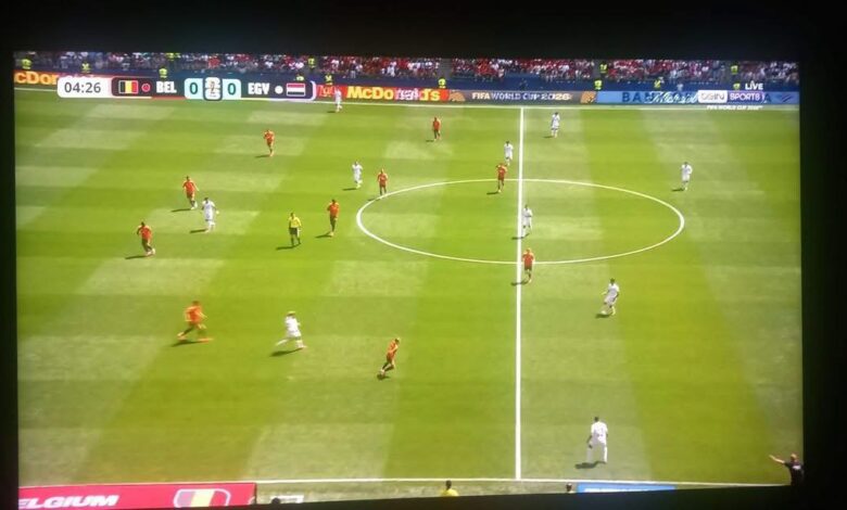 مصر وبلجيكا