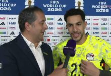 مصطفي شوبير