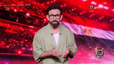ابراهيم فايق