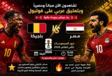 بث مباشر مباراة مصر وبلجيكا