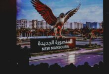 الأهلي في المنصورة