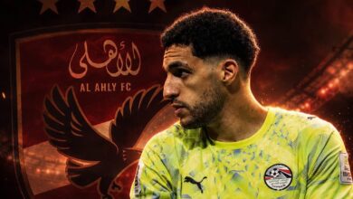 مصطفى شوبير