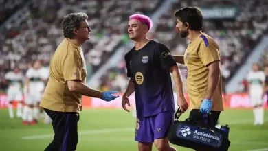 جافي