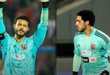 شوبير والشناوي