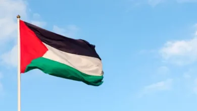 الاتحاد الفلسطيني