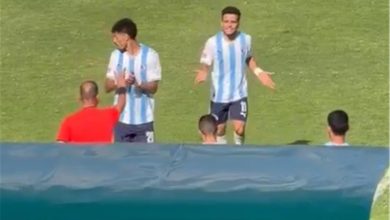مصطفى فتحي