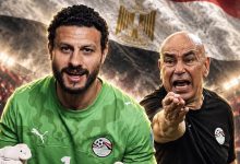 حسام حسن والشناوي